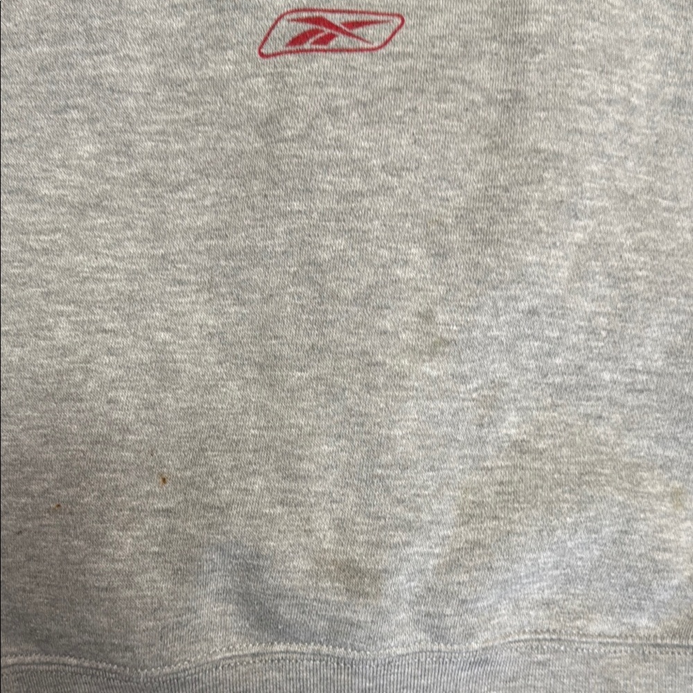 Vintage Reebok Mens 2003 Super Bowl XXXVII 37 Tampa Bay Buccaneers Sweatshirt - Picture 8 of 8